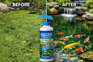 algclean
