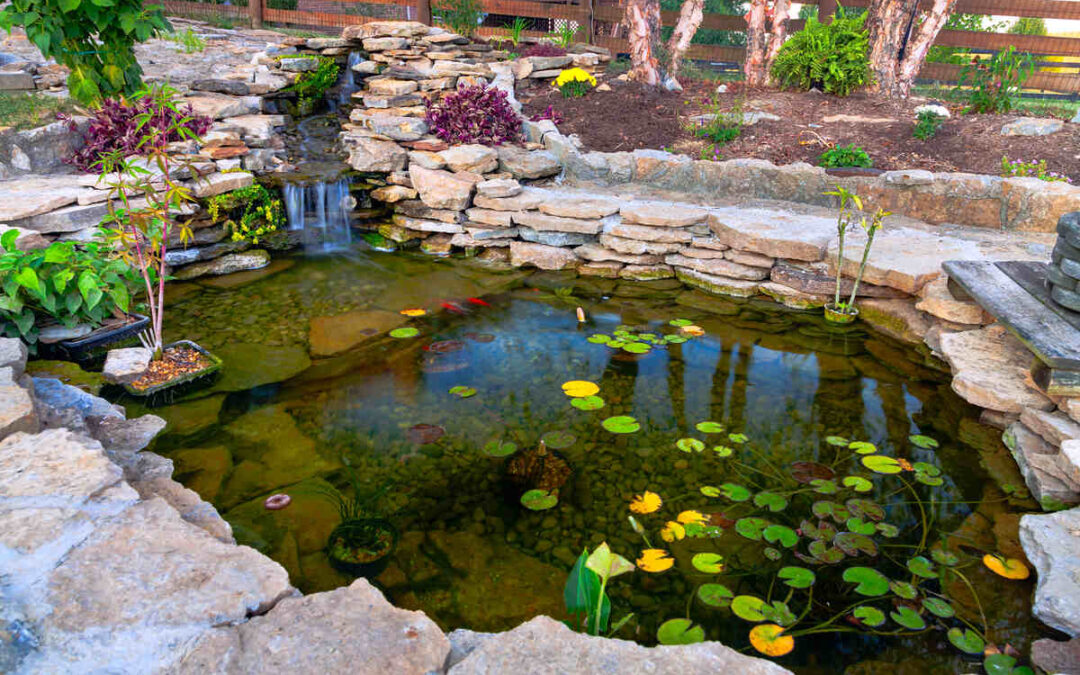 koi pond maintenance