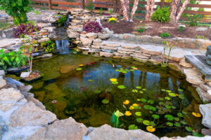 koi pond maintenance