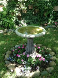birdbath